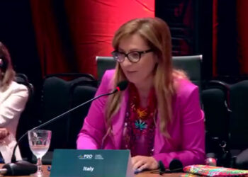 Parità di genere, l’onorevole Patriarca in Brasile: disuguaglianza economica è una problematica globale