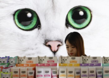 Corre la ‘pet economy’, spesa a 6,7 miliardi, +76% in 10 anni